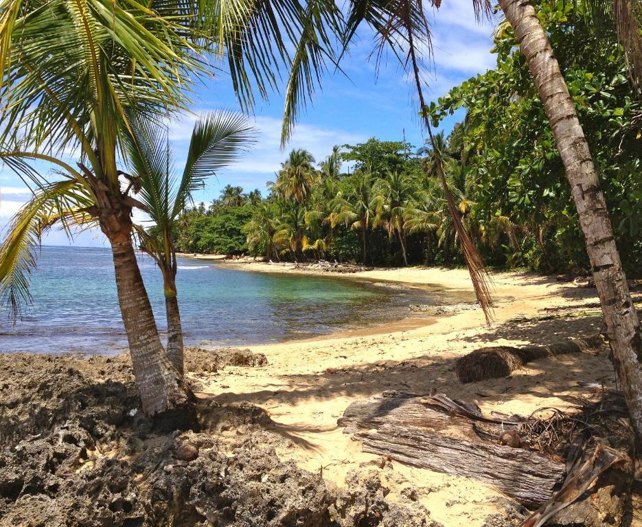 Physis Caribbean Bed & Breakfast Puerto Viejo de Talamanca Exteriör bild