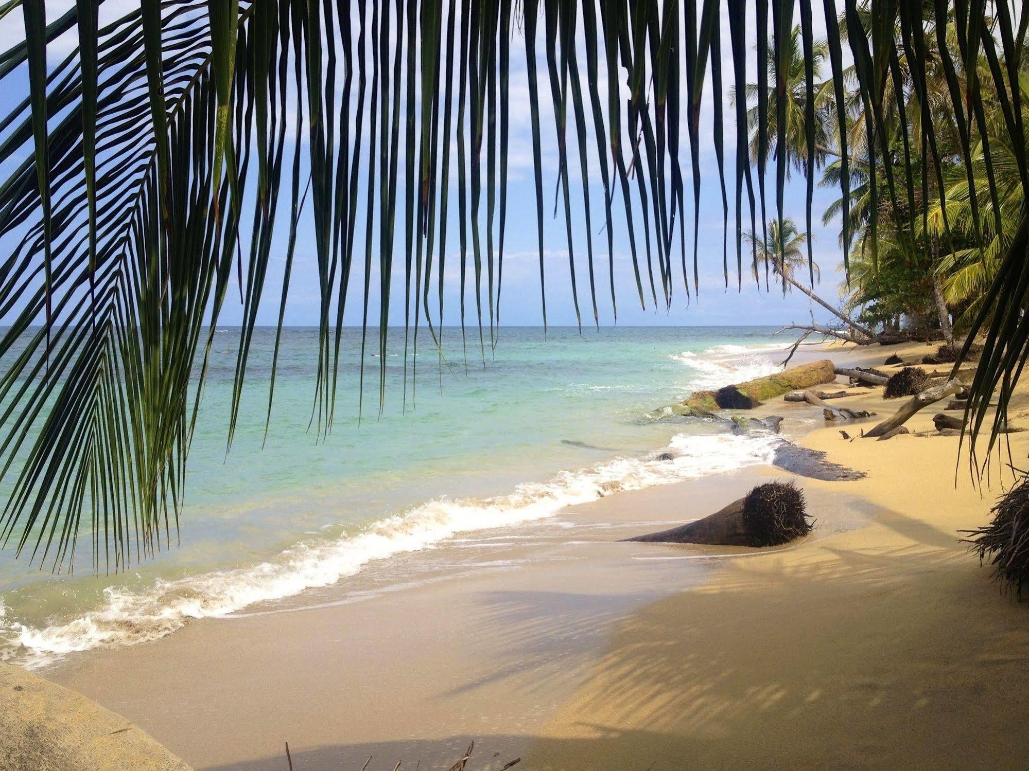 Physis Caribbean Bed & Breakfast Puerto Viejo de Talamanca Exteriör bild